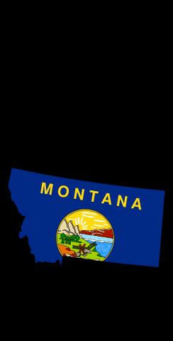 Montana State Flag Outline (Black Background) Themed Custom Cornhole Board Design