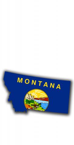 Montana State Flag Outline (White Background) Themed Custom Cornhole Board Design