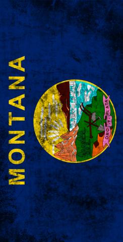 Worn State (Montana) Flag Themed Custom Cornhole Board Design