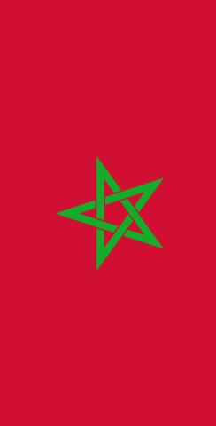 Morocco National Flag Themed Custom Cornhole Board Design