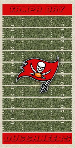 NFL Field (Tampa Bay Buccaneers) Themed Custom Cornhole Board Design