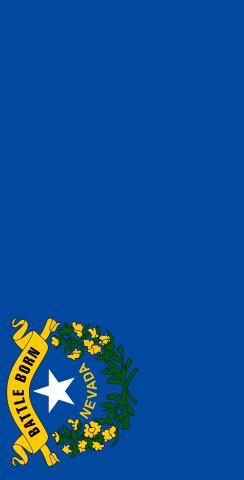 Nevada State Flag Themed Custom Cornhole Board Design