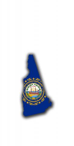 New Hampshire State Flag Outline (White Background) Themed Custom Cornhole Board Design
