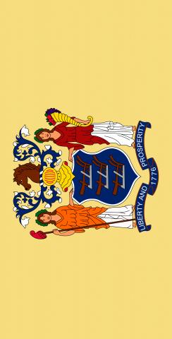 New Jersey State Flag Themed Custom Cornhole Board Design