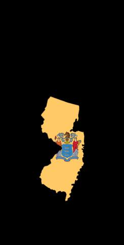 New Jersey State Flag Outline (Black Background) Themed Custom Cornhole Board Design