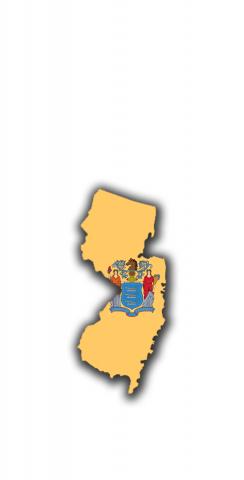 New Jersey State Flag Outline (White Background) Themed Custom Cornhole Board Design