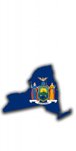 New York State Flag Outline (White Background) Themed Custom Cornhole Board Design