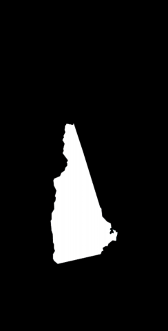Black New Hampshire Themed Custom Cornhole Board Design