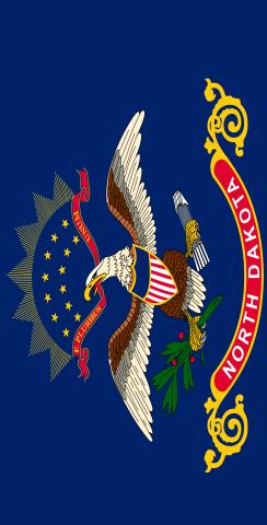 North Dakota State Flag Themed Custom Cornhole Board Design