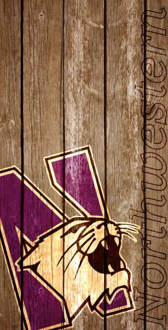NCAA Wood Slat (Northwestern Wildcats) Themed Custom Cornhole Board Design