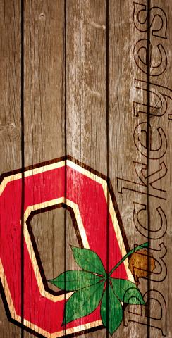 NCAA Wood Slat (Ohio State Buckeyes) Themed Custom Cornhole Board Design