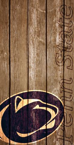 NCAA Wood Slat (Penn State Nittany Lions) Themed Custom Cornhole Board Design