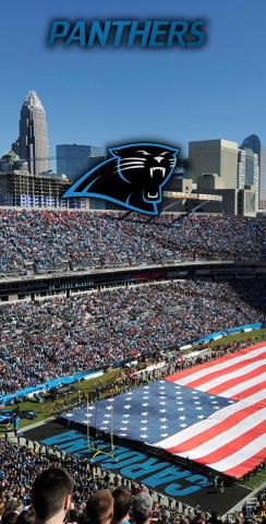 NFL Stadium (Carolina Panthers) Themed Custom Cornhole Board Design