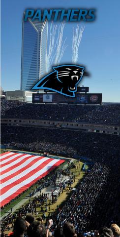 NFL Stadium (Carolina Panthers) Themed Custom Cornhole Board Design
