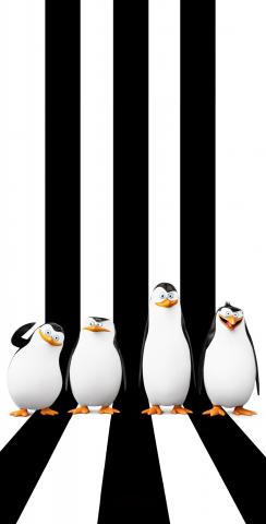 Penguin Lineup Themed Custom Cornhole Board Design