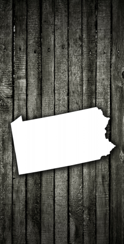 Wood Slat State (Pennsylvania) Themed Custom Cornhole Board Design