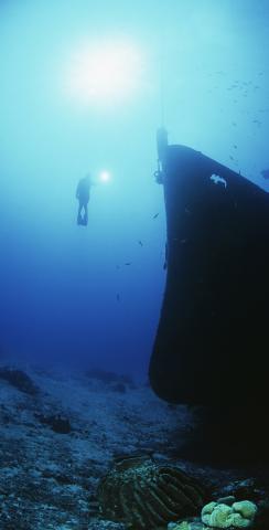 Scuba Diving a Shipwreck Themed Custom Cornhole Board Design