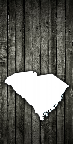 Wood Slat State (South Carolina) Themed Custom Cornhole Board Design