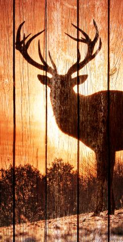 Sunrise Elk on Wood Slat Background Themed Custom Cornhole Board Design