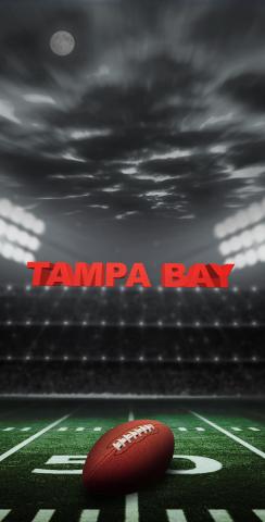 Tampa Bay Football Themed Custom Cornhole Board Design