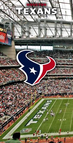 NFL Stadium (Houston Texans) Themed Custom Cornhole Board Design