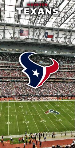 NFL Stadium (Houston Texans) Themed Custom Cornhole Board Design