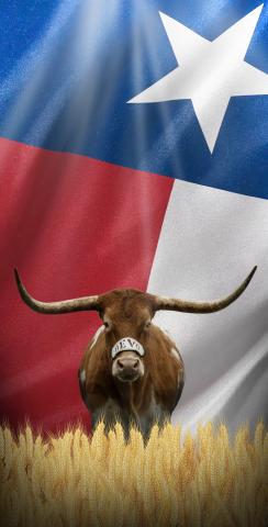 Texas Longhorn with Flag Themed Custom Cornhole Board Design