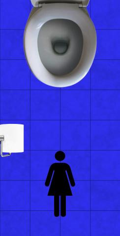 Toilet Womens Themed Custom Cornhole Board Design