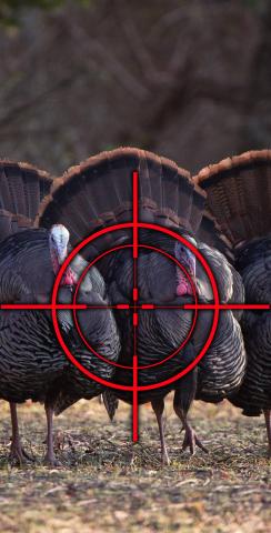 Turkey Hunting #1 Themed Custom Cornhole Board Design