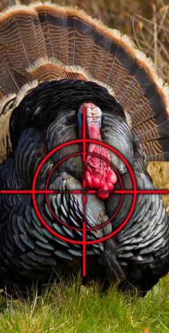 Turkey Hunting #2 Themed Custom Cornhole Board Design