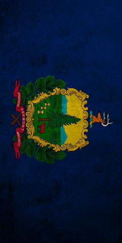 Worn State (Vermont) Flag Themed Custom Cornhole Board Design