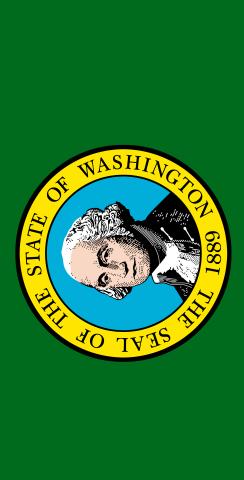 Washington State Flag Themed Custom Cornhole Board Design