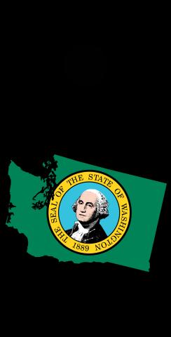 Washington State Flag Outline (Black Background) Themed Custom Cornhole Board Design