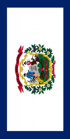 West Virginia State Flag Themed Custom Cornhole Board Design