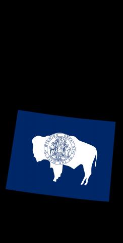 Wyoming State Flag Outline (Black Background) Themed Custom Cornhole Board Design