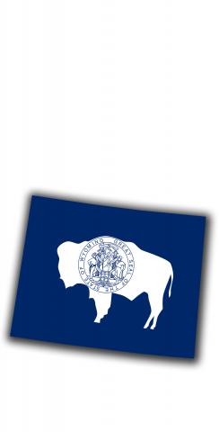 Wyoming State Flag Outline (White Background) Themed Custom Cornhole Board Design