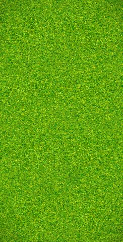 Green Grass Background