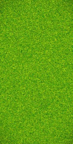 Green Grass Background