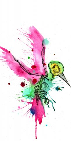  Humming Bird Art Themed Custom Cornhole Board Design