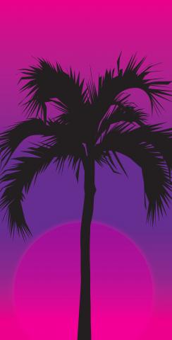 Palms at NightThemed Custom Cornhole Board Design