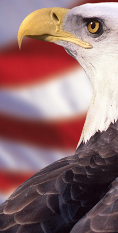 Patriotic Bald Eagle Themed Custom Cornhole Board Design