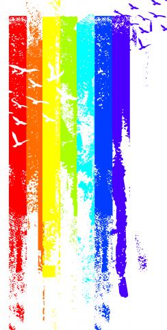 Gay Pride Rainbow Paint with Birds Themed Custom Cornhole Board Design