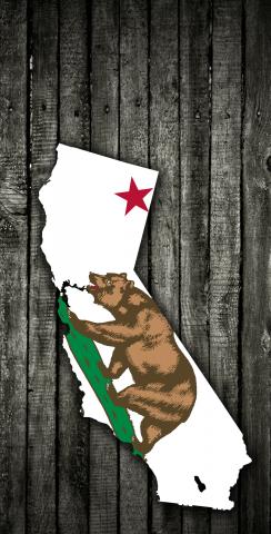 Wood Slate State Flag & Map (California) Themed Custom Cornhole Board Design