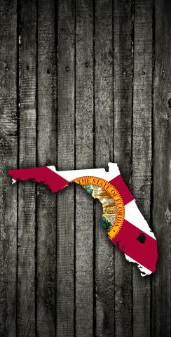Wood Slate State Flag & Map (Florida) Themed Custom Cornhole Board Design