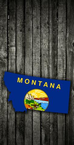 Wood Slate State Flag & Map (Montana) Themed Custom Cornhole Board Design