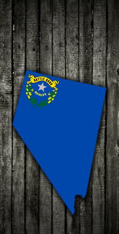 Wood Slate State Flag & Map (Nevada) Themed Custom Cornhole Board Design