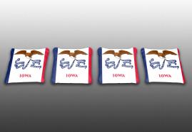 Iowa State Flag Specialty Bags